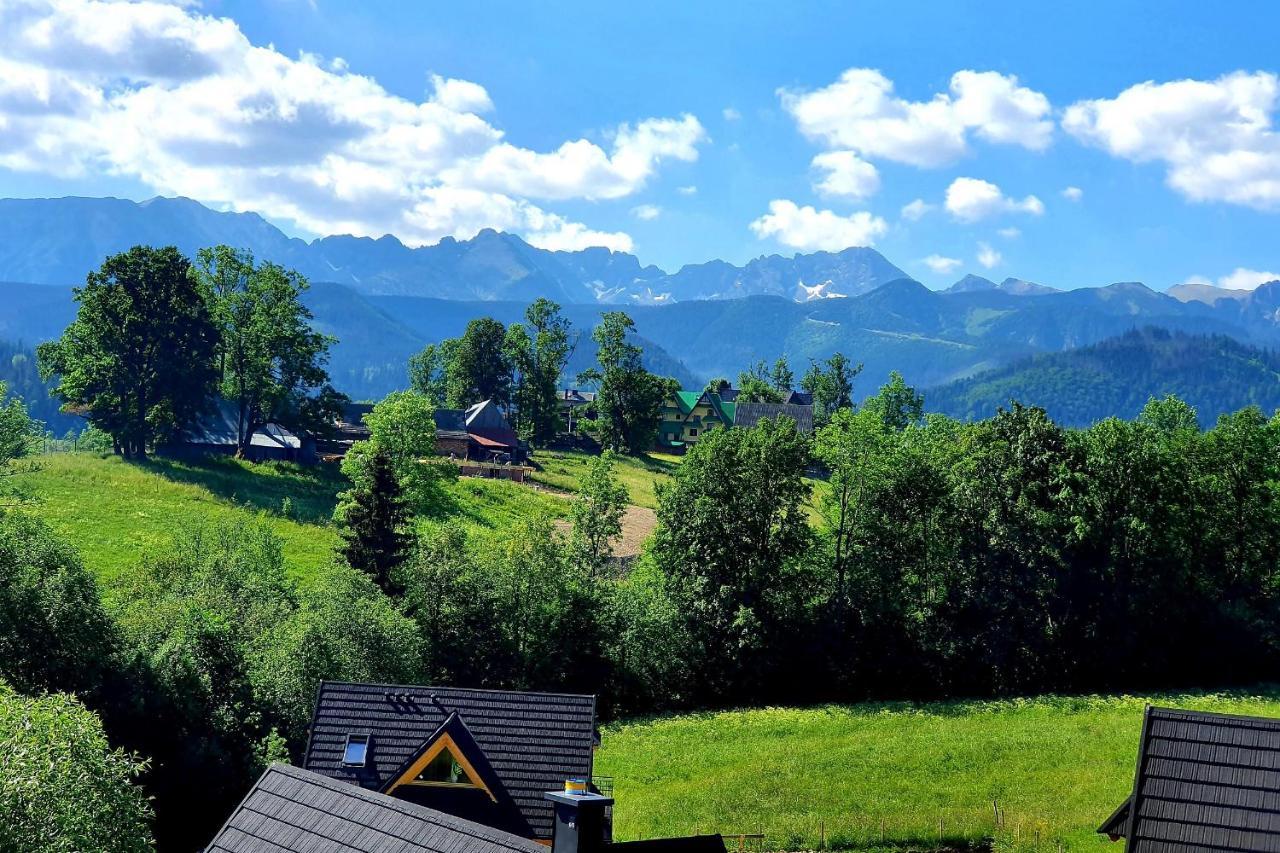 Tatrzanska Rezydencja Pod Brzyzkiem Zakopane Esterno foto